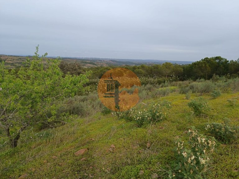 Plot for Sale in Azinhal, Castro Marim, Portugal 18