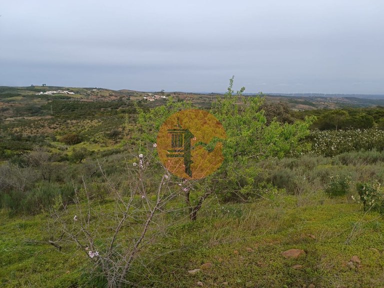 Plot for Sale in Azinhal, Castro Marim, Portugal 19