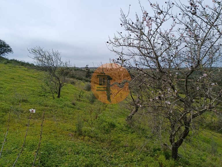 Plot for Sale in Azinhal, Castro Marim, Portugal 20