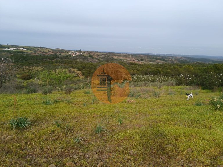 Plot for Sale in Azinhal, Castro Marim, Portugal 15