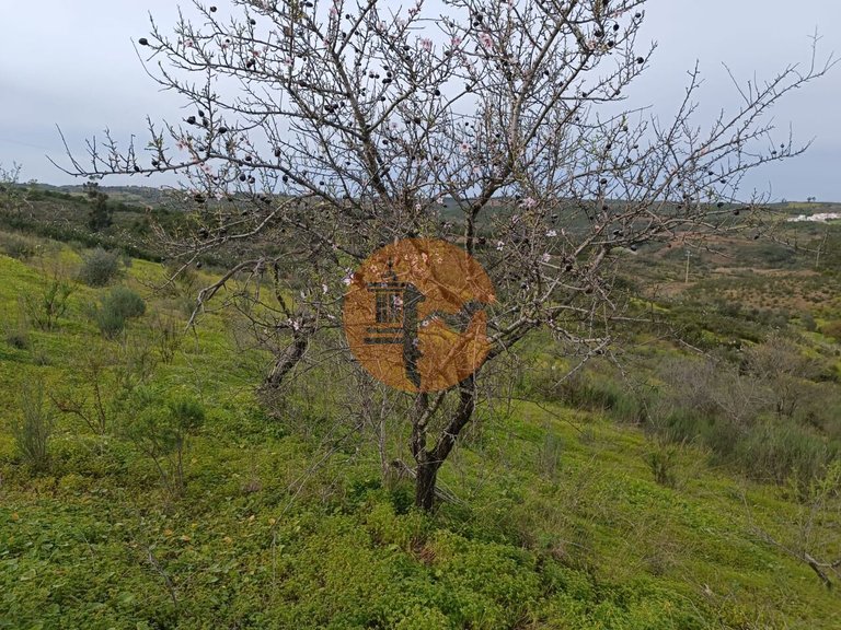 Plot for Sale in Azinhal, Castro Marim, Portugal 24