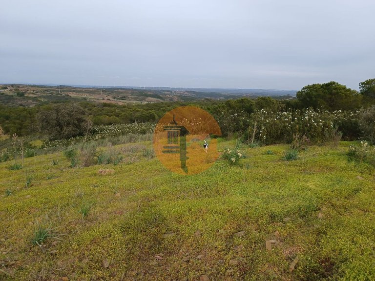 Plot for Sale in Azinhal, Castro Marim, Portugal 32