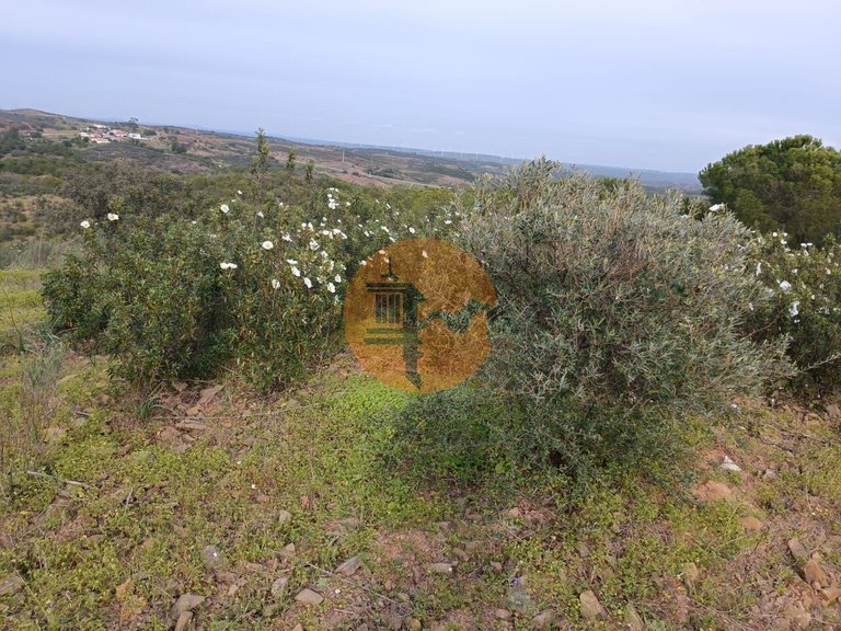 Plot for Sale in Azinhal, Castro Marim, Portugal 39