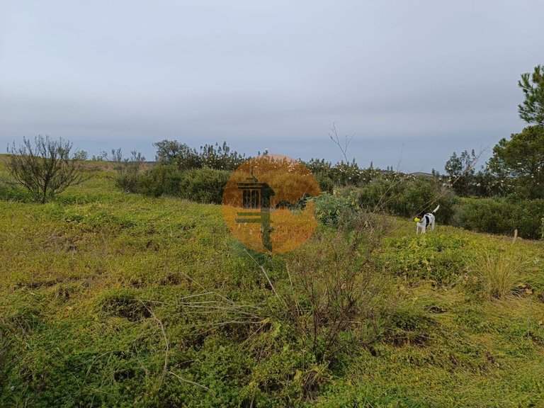 Plot for Sale in Azinhal, Castro Marim, Portugal 41