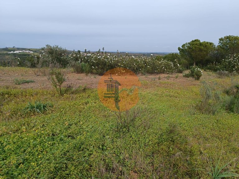 Plot for Sale in Azinhal, Castro Marim, Portugal 43