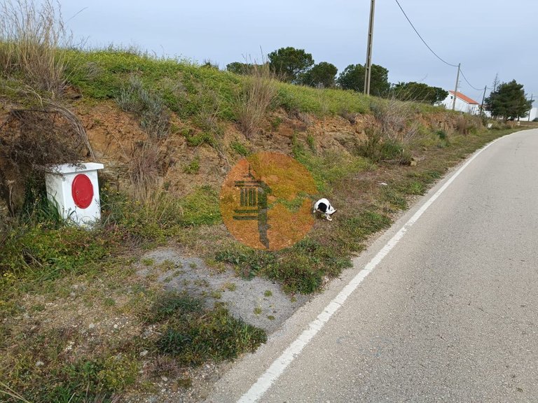 Plot for Sale in Azinhal, Castro Marim, Portugal 44