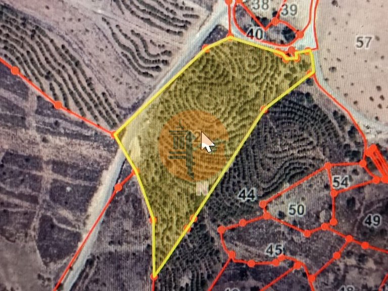 Plot for Sale in Azinhal, Castro Marim, Portugal 2
