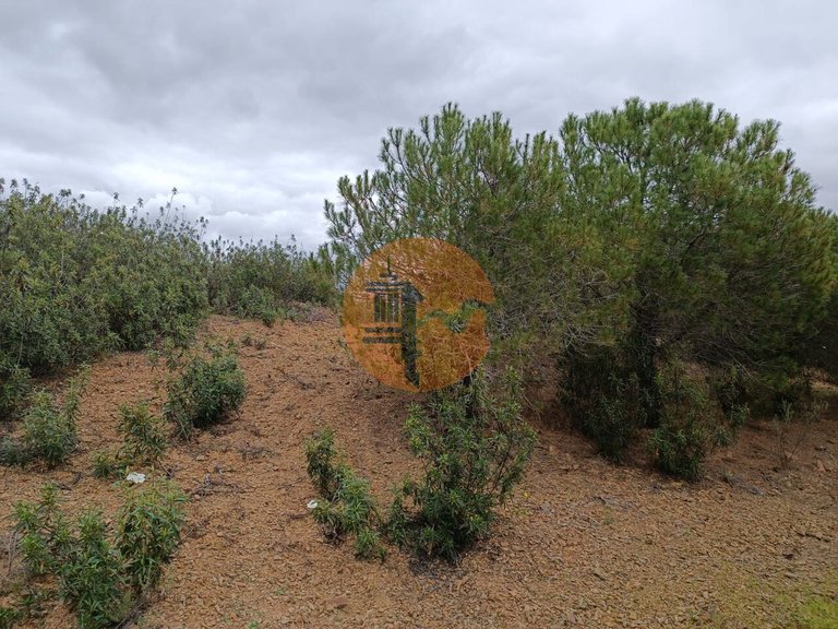 Plot for Sale in Azinhal, Castro Marim, Portugal 3