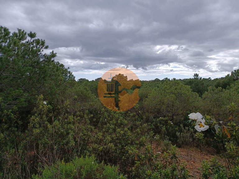 Plot for Sale in Azinhal, Castro Marim, Portugal 5