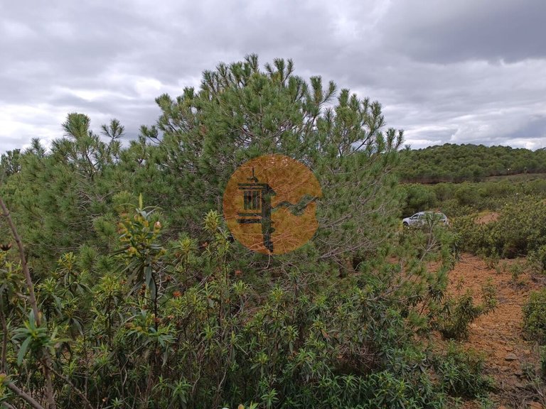 Plot for Sale in Azinhal, Castro Marim, Portugal 8