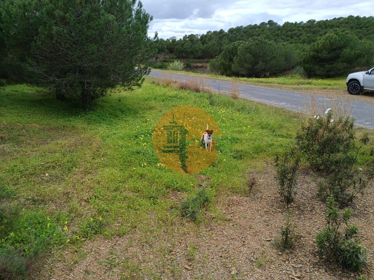 Plot for Sale in Azinhal, Castro Marim, Portugal 10