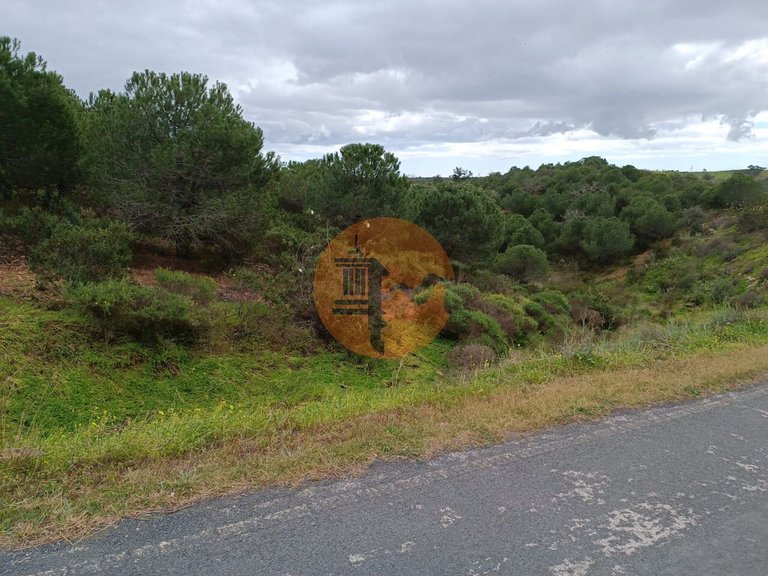 Plot for Sale in Azinhal, Castro Marim, Portugal 11