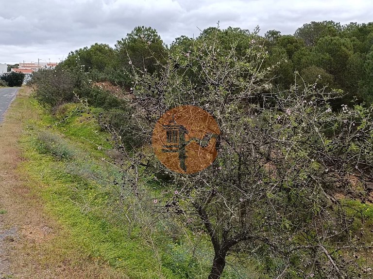 Plot for Sale in Azinhal, Castro Marim, Portugal 14