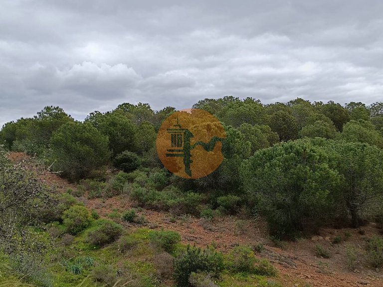 Plot for Sale in Azinhal, Castro Marim, Portugal 15