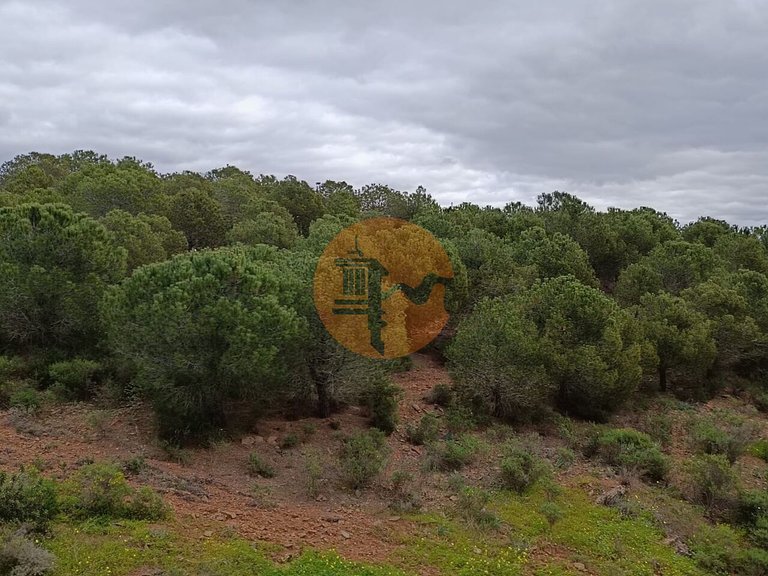 Plot for Sale in Azinhal, Castro Marim, Portugal 16