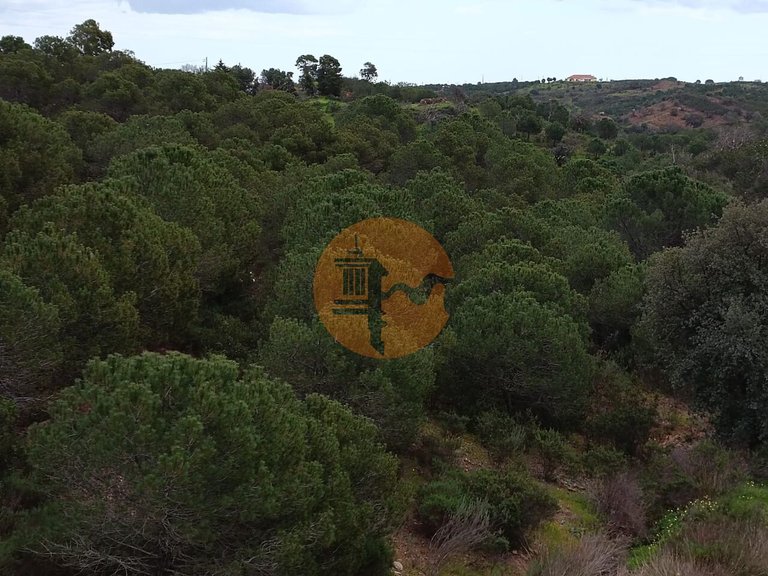 Plot for Sale in Azinhal, Castro Marim, Portugal 17