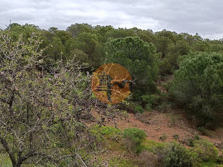 Plot for Sale in Azinhal, Castro Marim, Portugal 19
