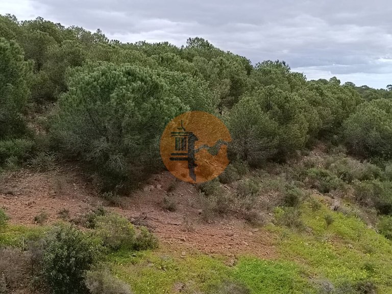 Plot for Sale in Azinhal, Castro Marim, Portugal 20