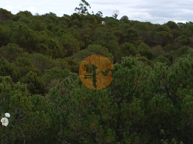 Plot for Sale in Azinhal, Castro Marim, Portugal 24
