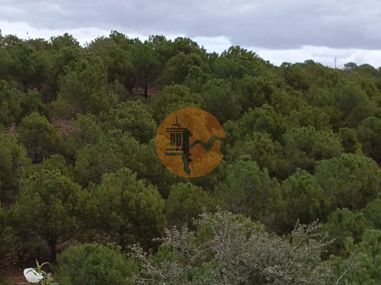 Plot for Sale in Azinhal, Castro Marim, Portugal 25
