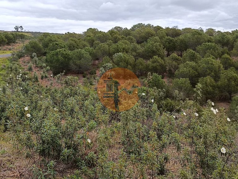 Plot for Sale in Azinhal, Castro Marim, Portugal 26