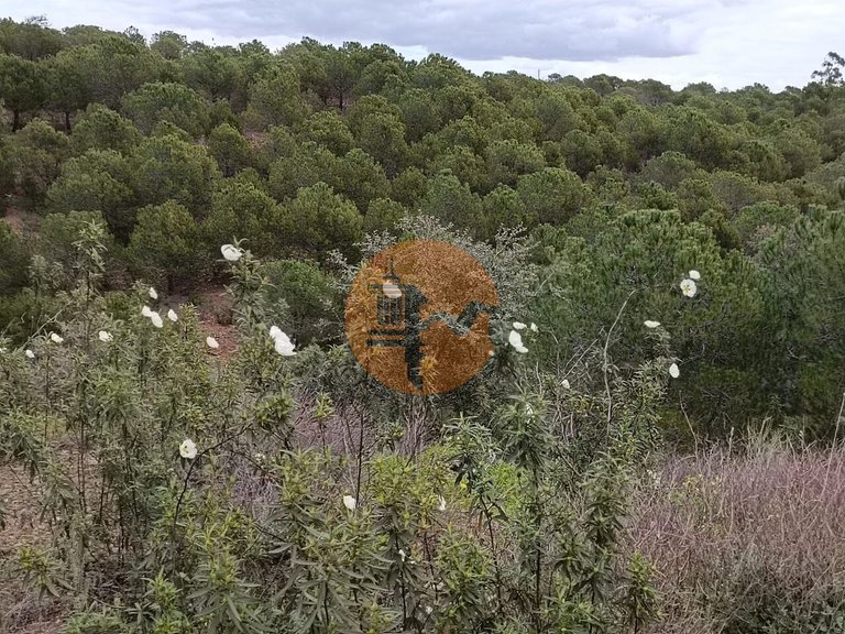 Plot for Sale in Azinhal, Castro Marim, Portugal 29