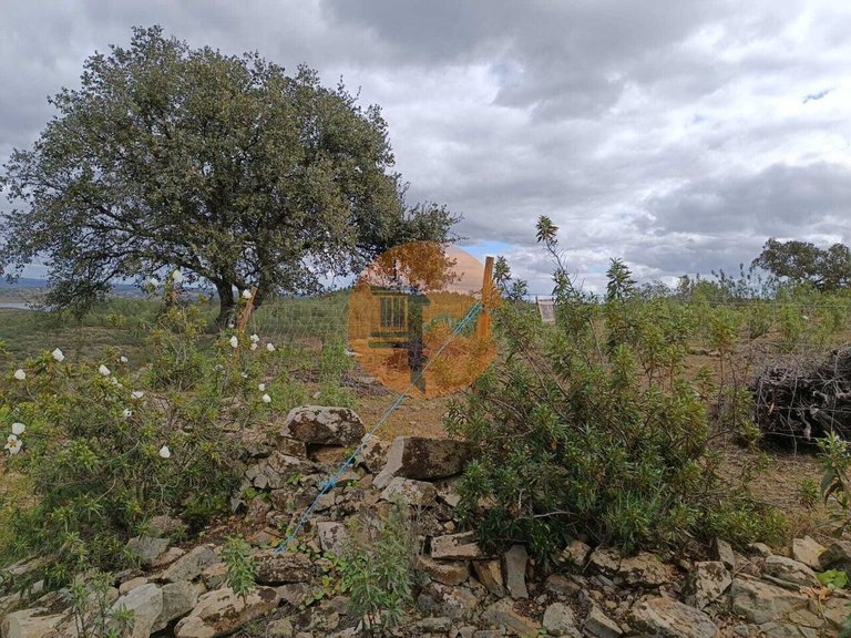 Plot for Sale in Odeleite, Castro Marim, Portugal 3