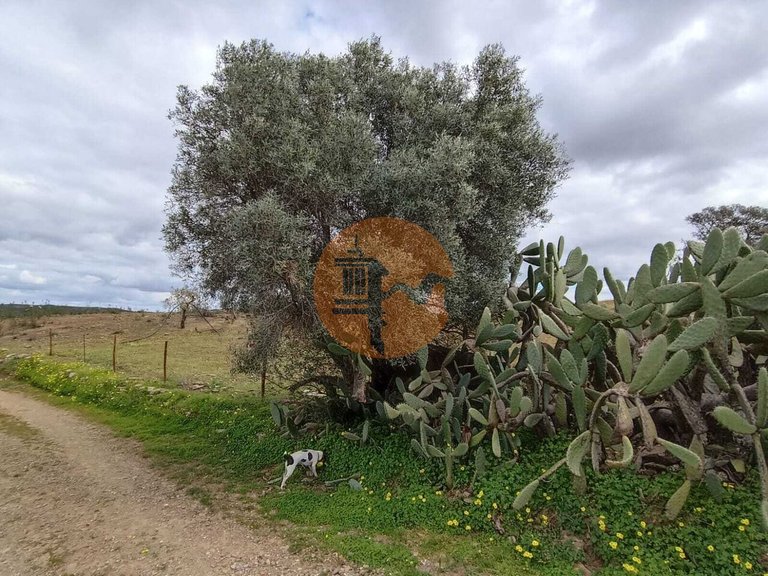 Plot for Sale in Odeleite, Castro Marim, Portugal 16