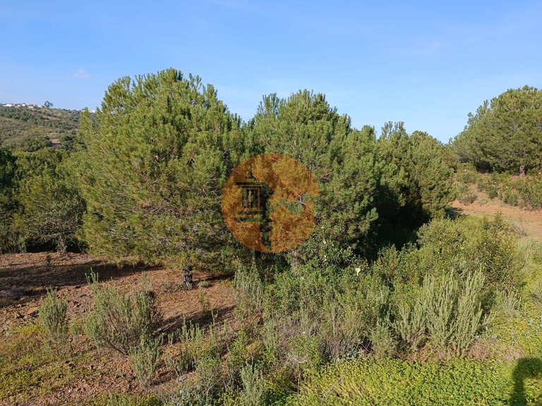 Plot for Sale in Castro Marim, Castro Marim, Portugal 12