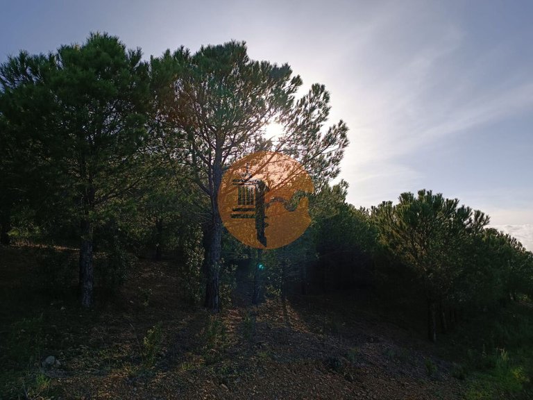 Plot for Sale in Castro Marim, Castro Marim, Portugal 6