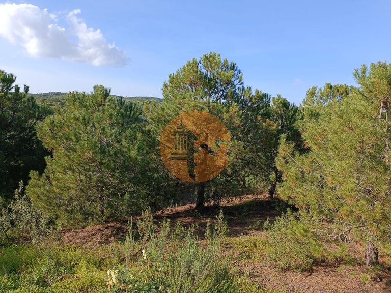 Plot for Sale in Castro Marim, Castro Marim, Portugal 14