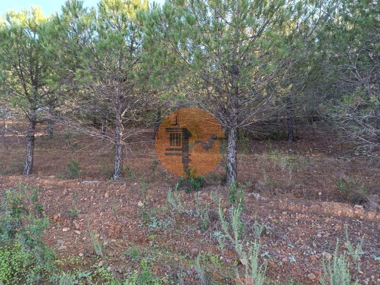 Plot for Sale in Castro Marim, Castro Marim, Portugal 9