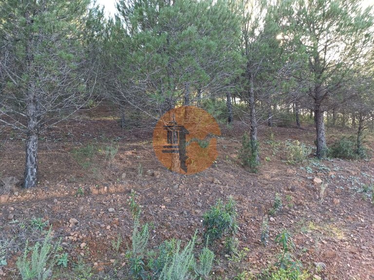 Plot for Sale in Castro Marim, Castro Marim, Portugal 16