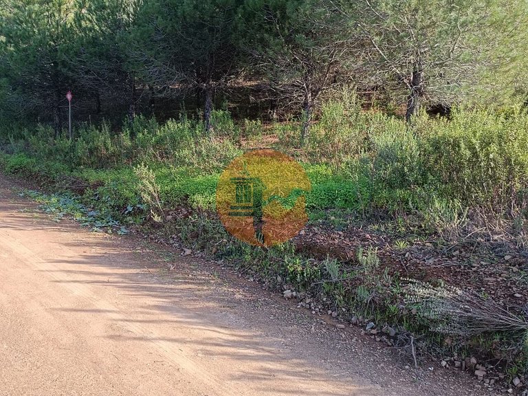 Plot for Sale in Castro Marim, Castro Marim, Portugal 19
