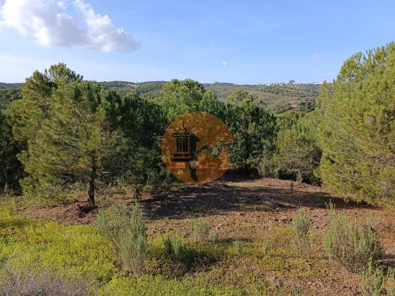 Plot for Sale in Castro Marim, Castro Marim, Portugal 20