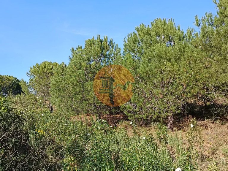 Plot for Sale in Castro Marim, Castro Marim, Portugal 21