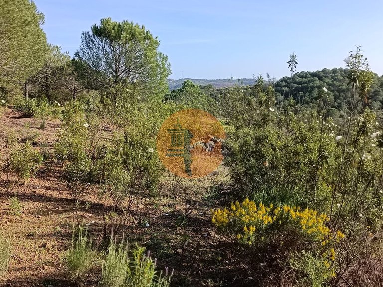 Plot for Sale in Castro Marim, Castro Marim, Portugal 22