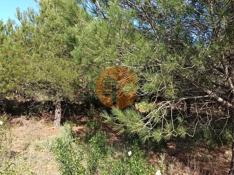 Plot for Sale in Castro Marim, Castro Marim, Portugal 23