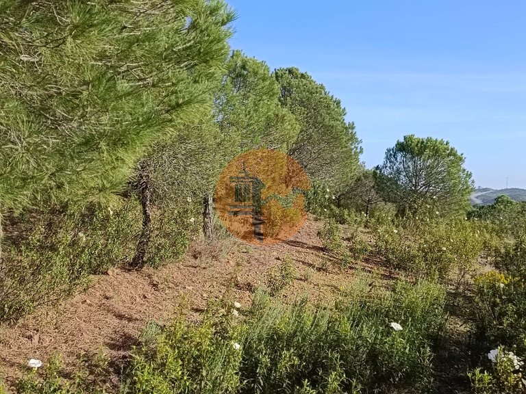 Plot for Sale in Castro Marim, Castro Marim, Portugal 24