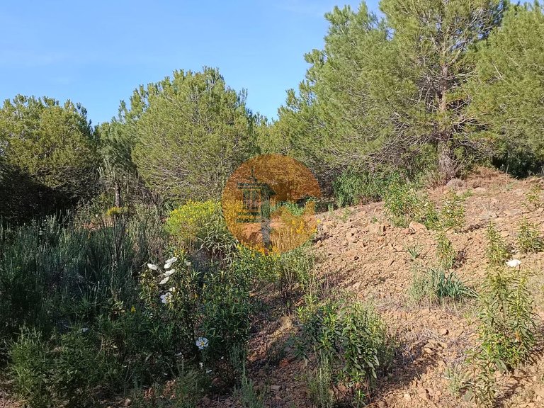 Plot for Sale in Castro Marim, Castro Marim, Portugal 27