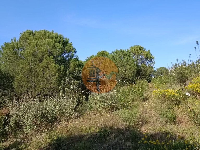 Plot for Sale in Castro Marim, Castro Marim, Portugal 29