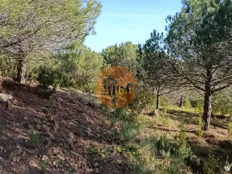 Plot for Sale in Castro Marim, Castro Marim, Portugal 31