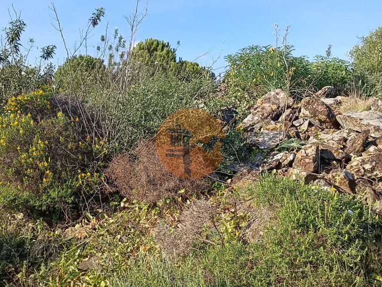 Plot for Sale in Castro Marim, Castro Marim, Portugal 5