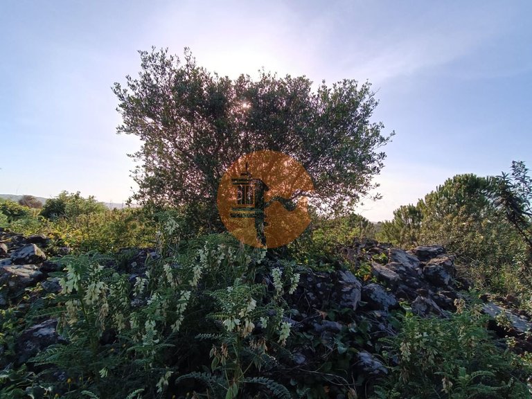 Plot for Sale in Castro Marim, Castro Marim, Portugal 48