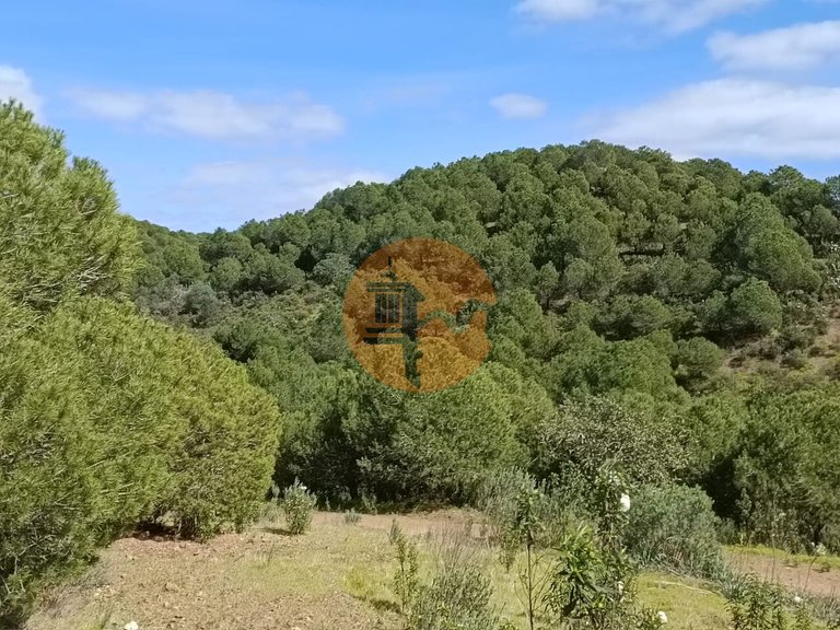 Plot for Sale in Azinhal, Castro Marim, Portugal 1