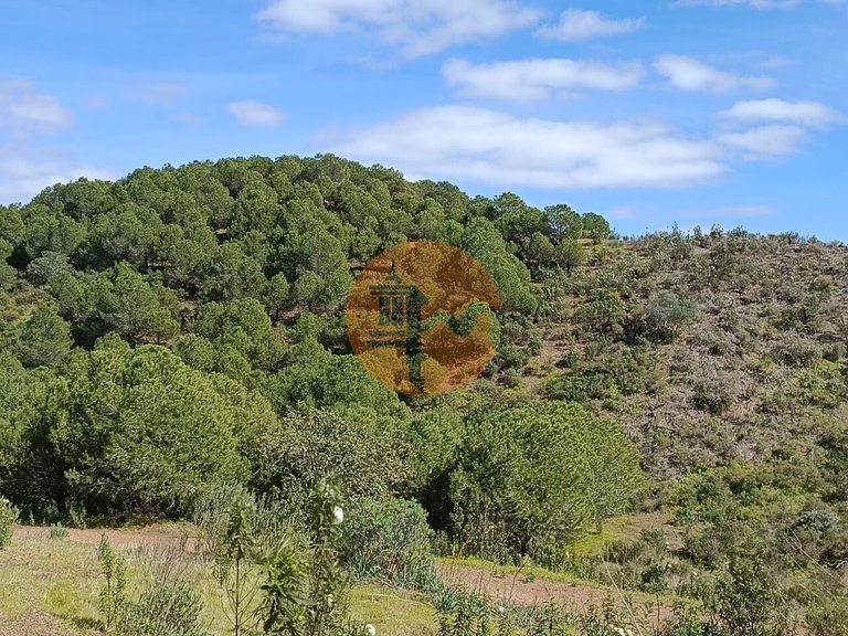 Plot for Sale in Azinhal, Castro Marim, Portugal 7