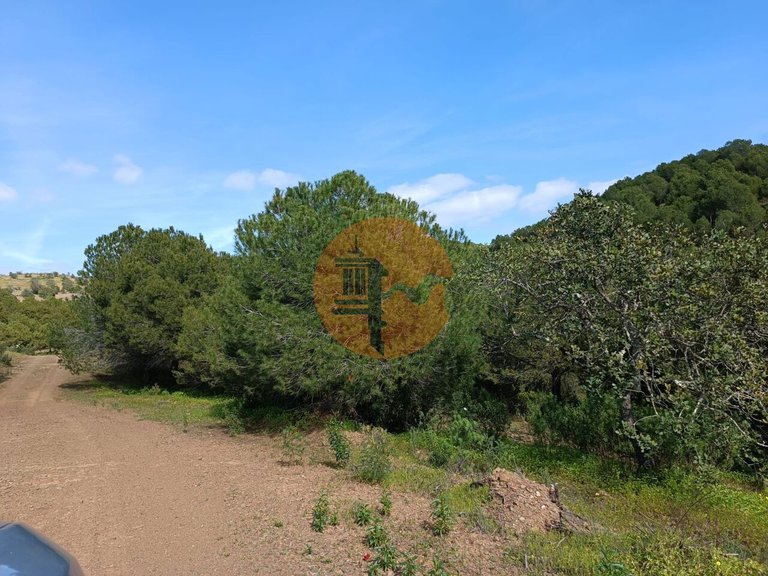 Plot for Sale in Azinhal, Castro Marim, Portugal 11