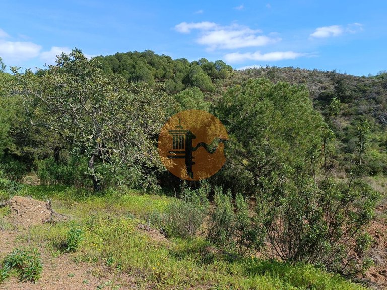 Plot for Sale in Azinhal, Castro Marim, Portugal 13