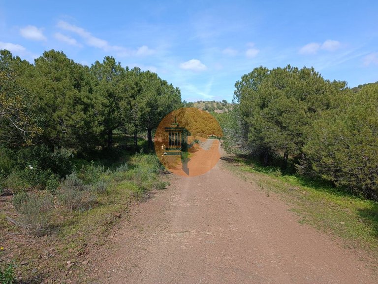 Plot for Sale in Azinhal, Castro Marim, Portugal 3