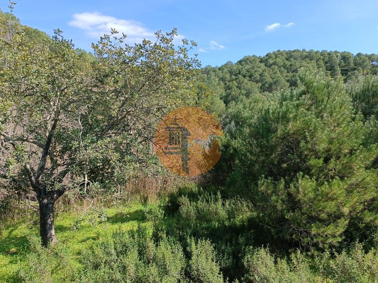 Plot for Sale in Azinhal, Castro Marim, Portugal 15